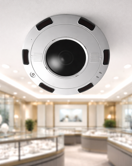 IP Cameras